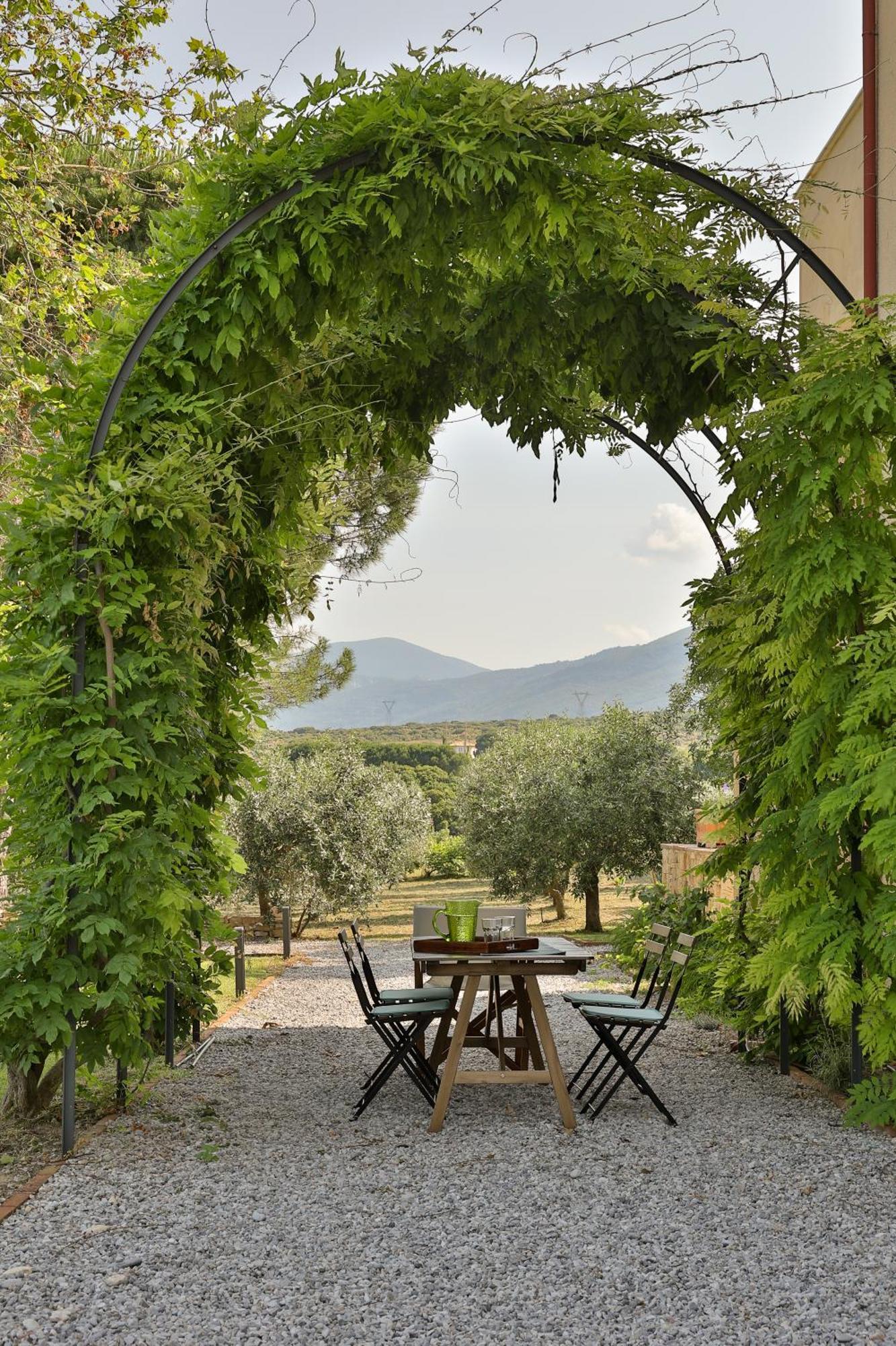 Οlives And Vines All Seasons Villa Litóchoron Dış mekan fotoğraf